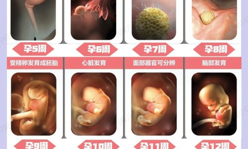 满月发汗要带衣服去吗-满月出汗需要什么树枝网-分享出满月发汗有必要吗，满月出汗最佳时间知识库