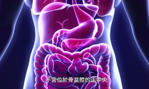 满月发汗要带衣服去吗-满月出汗需要什么树枝网-分享出满月发汗有必要吗，满月出汗最佳时间知识库