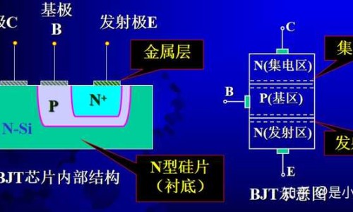 满月出汗需要什么树枝才能出汗-满月出汗需要什么树枝网-分享出满月发汗有必要吗，满月出汗最佳时间知识库